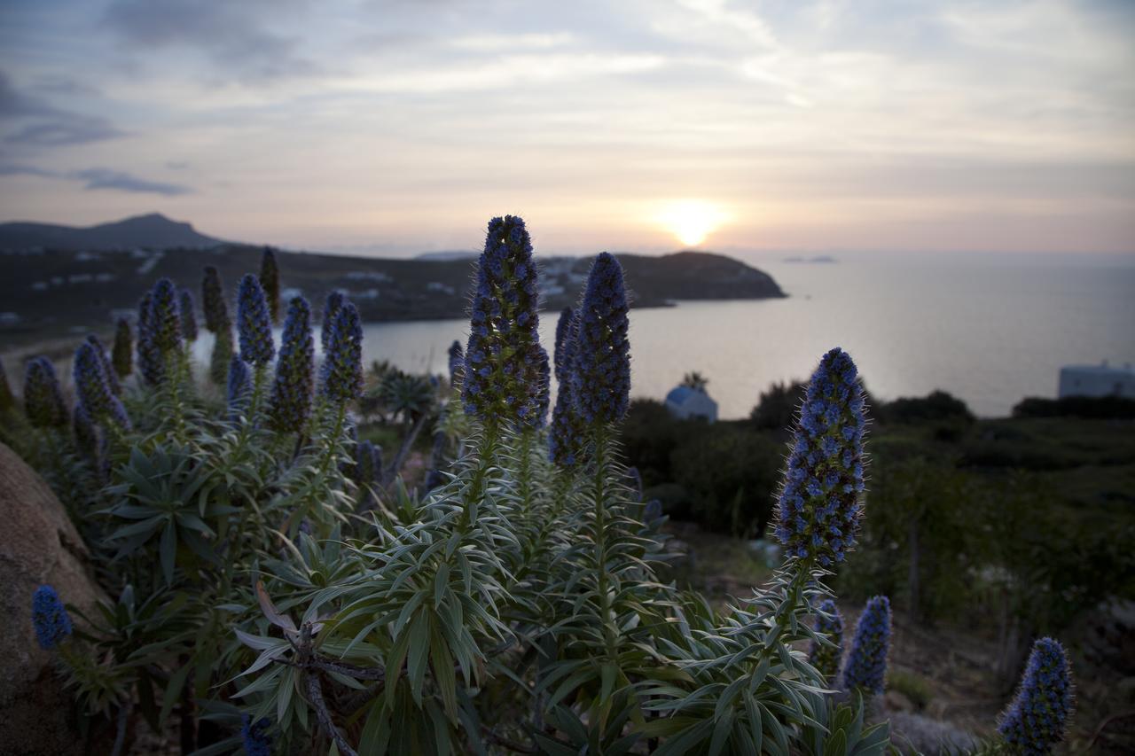Plan-B Holidays Kalo Livadi Exteriér fotografie